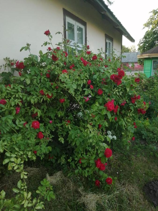 Kica Kroga Apartaments Ainaži Zewnętrze zdjęcie