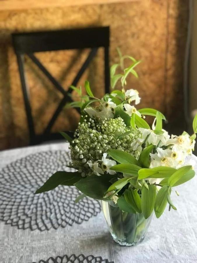 Kica Kroga Apartaments Ainaži Zewnętrze zdjęcie