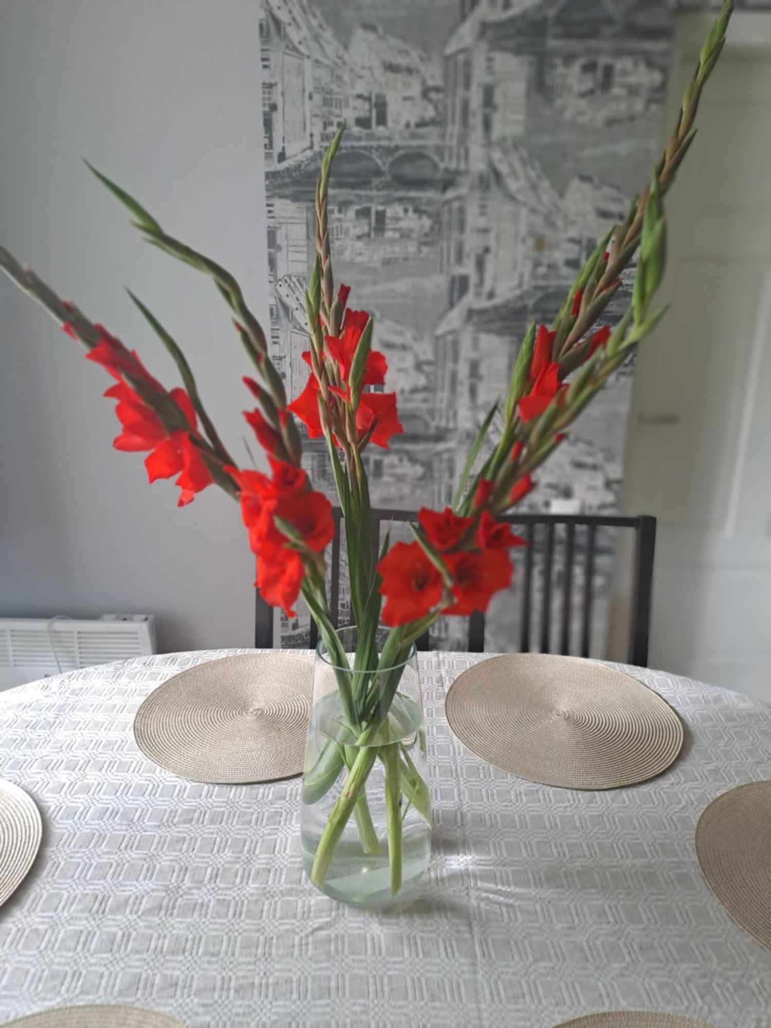 Kica Kroga Apartaments Ainaži Zewnętrze zdjęcie
